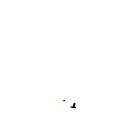 y995